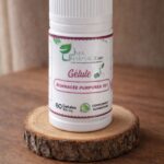 Gélule d’Échinacée Purpurea